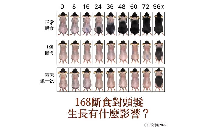 168斷食對頭髮生長有什麼影響？