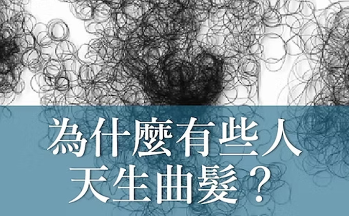 為什麼有些人天生曲髮？