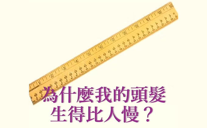 為什麼我的頭髮生得比人慢？