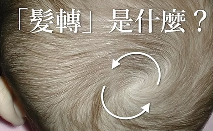 「髮旋」是什麼？