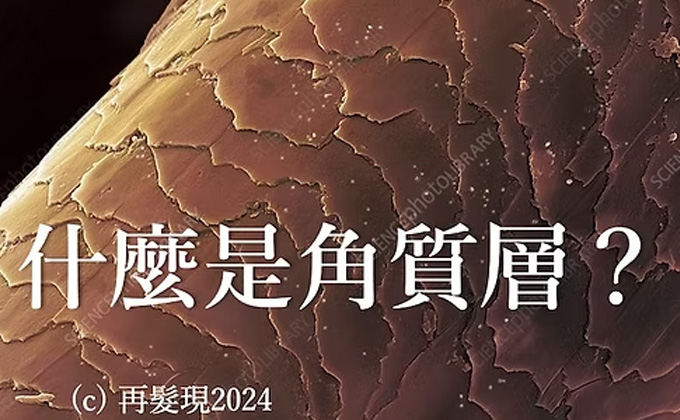 什麼是頭髮角質層？