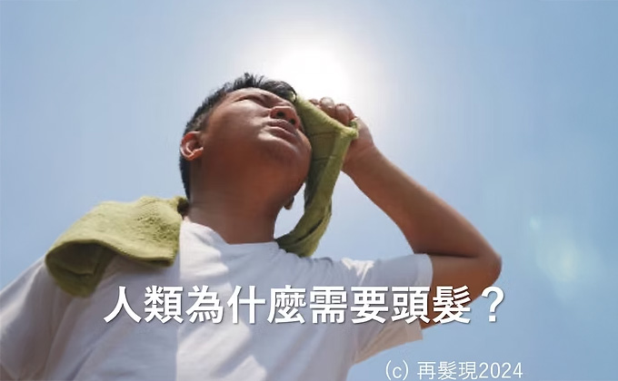 人類為什麼需要頭髮？